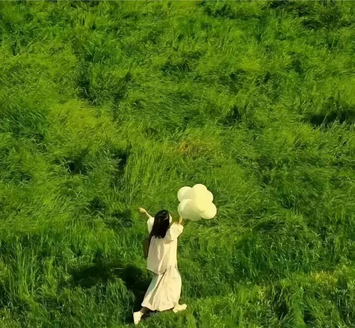 天天中奖